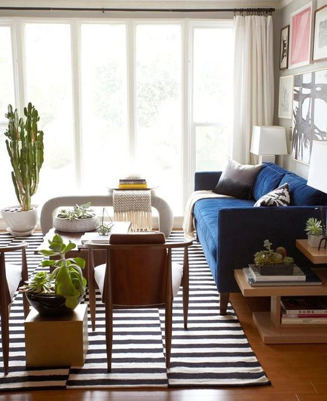 Deep Blue Sofa, Light Filled Space