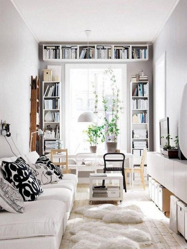 Sunlit Green Plants And Geometric Pillows