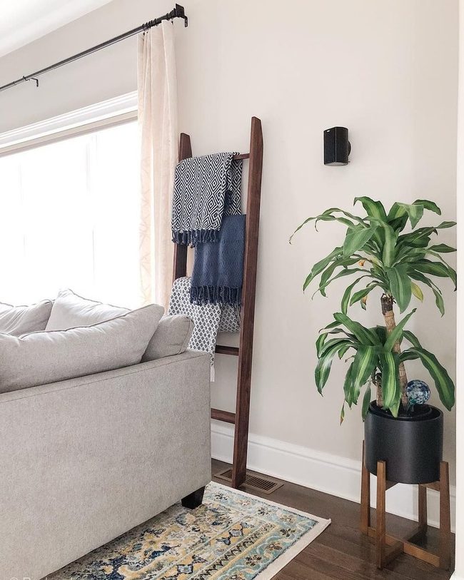 Deep Jewel Tones Transform Gray