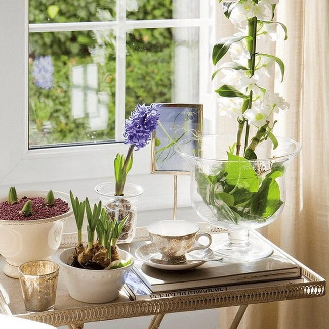 Purple Flowers, Green Plants, Golden Light