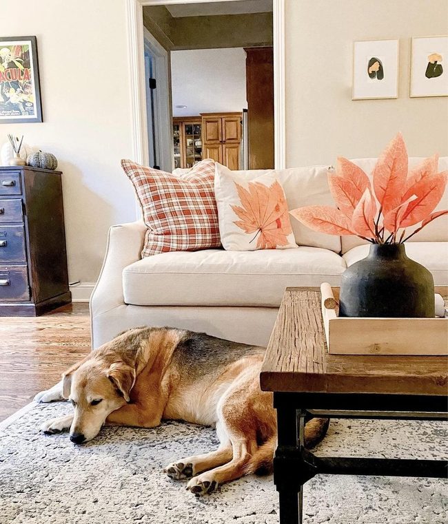 Beige Sofa With Autumn Accents