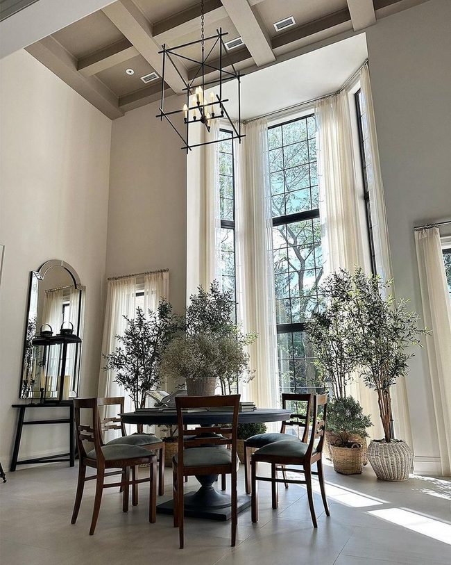 Natural Light Dining With Greenery