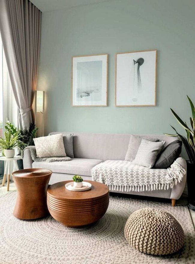 Green Plants By The Window