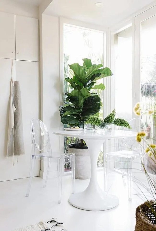 Tall Windows Flood White Dining Space