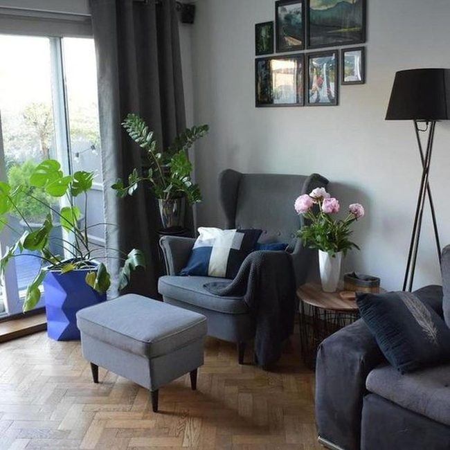 Blue Potted Plant Anchors Living Room