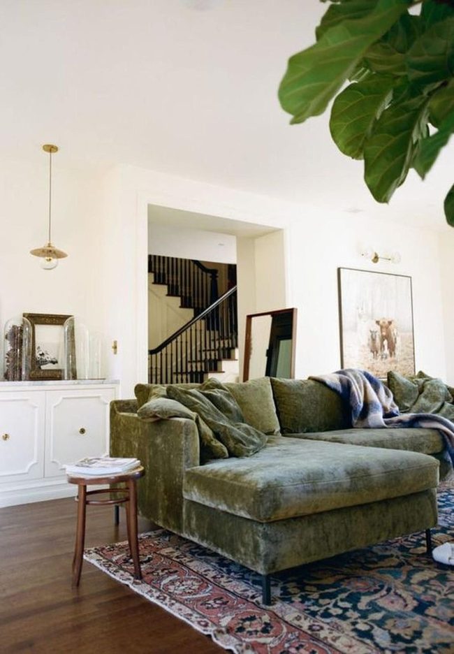 Soft Green Velvet Living Sanctuary