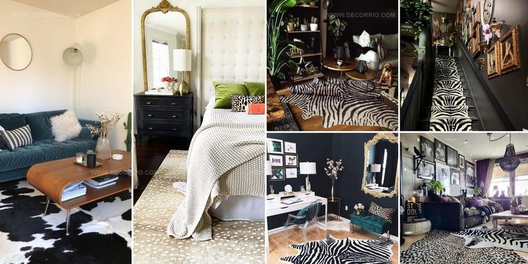 5655946 Animal Print Rug Ideas