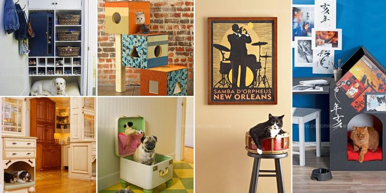 9956085 Pet Living Space Ideas