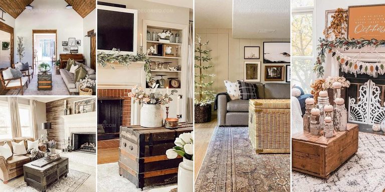 4020948 Trunk Coffee Table Ideas