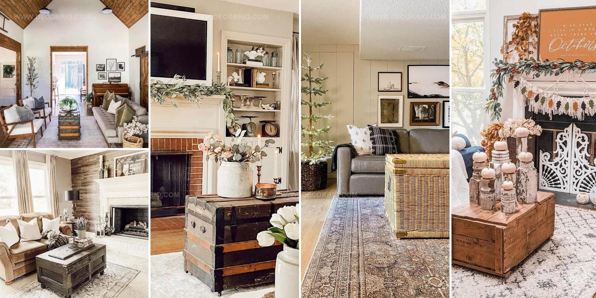 4020948 Trunk Coffee Table Ideas