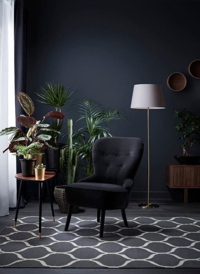 Botanical Elegance in Black