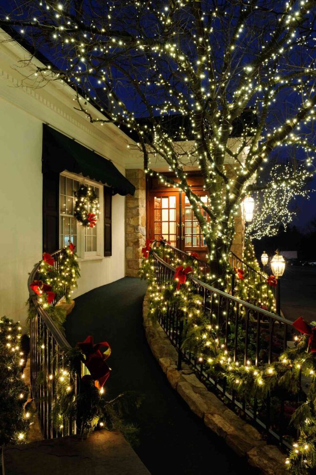 Sparkling Lights Illuminate Suburban Holiday Cheer