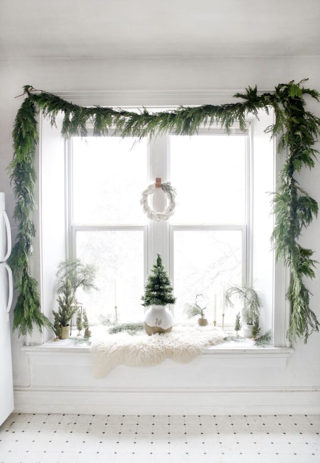 Lush Foliage for Simple Living Spaces
