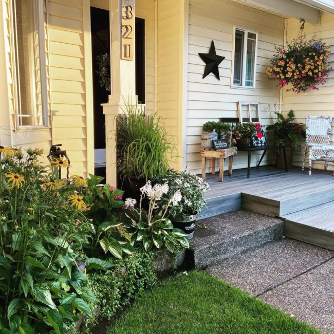 Vibrant Blooms and Lush Greens