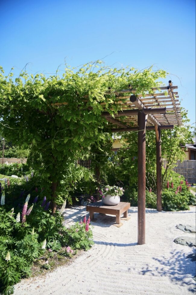 How To Use Plants And Greenery To Decorate My Pergola?