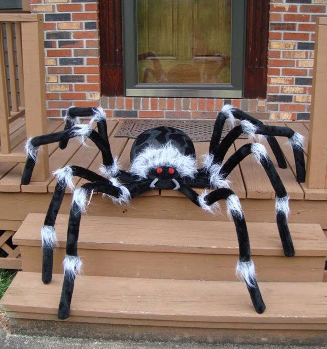Fluffy Giant Spider on the Porch