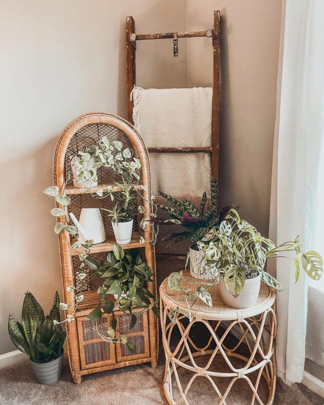 Lush Botanical Corner