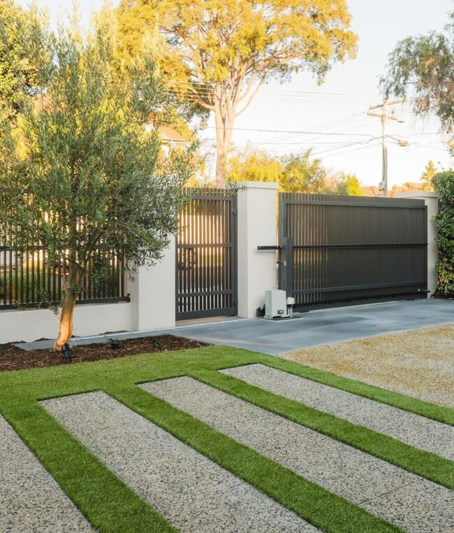 Geometric Lines and Grassy Details