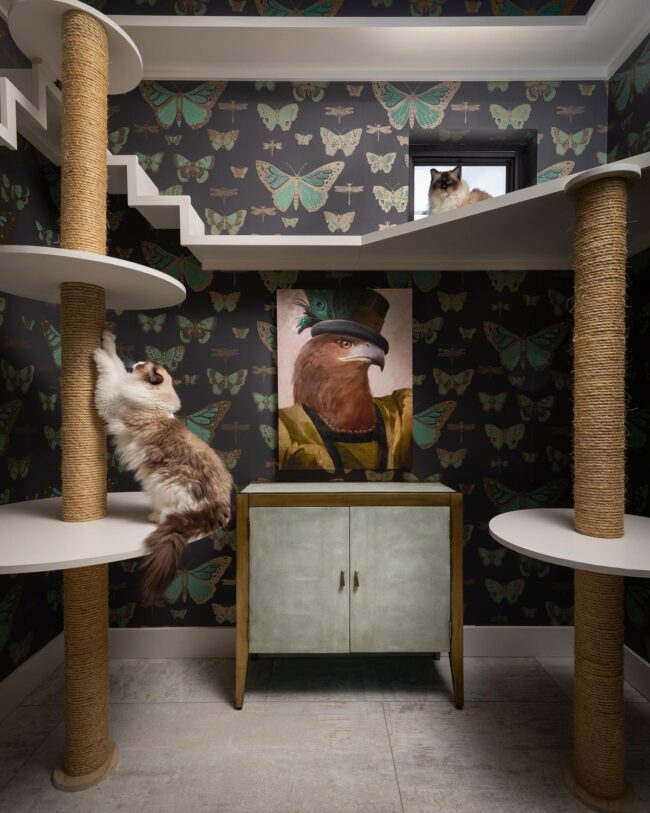 Luxurious Cat Climbing Tower