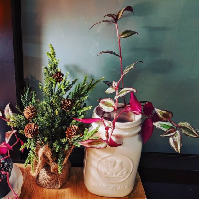 Charming Natural Miniature Christmas Tree