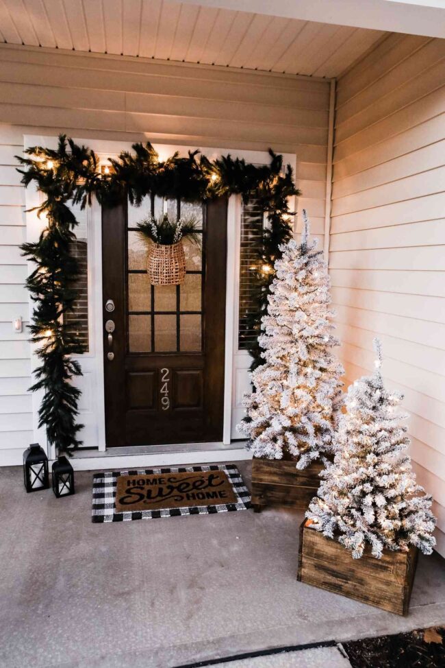 Enchanting Flocked Trees and Radiant Lights